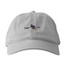 Take-off Pigeon Guillemot Hat, a Dolphin Printed Eco Baseball Cap