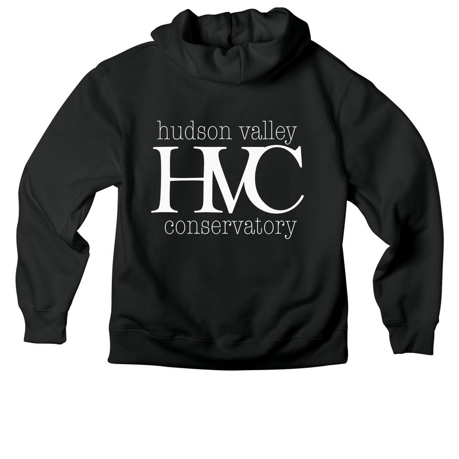 HVC Spring 2026, a Vintage Black Premium Heavyweight Pullover Hoodie (back-view)