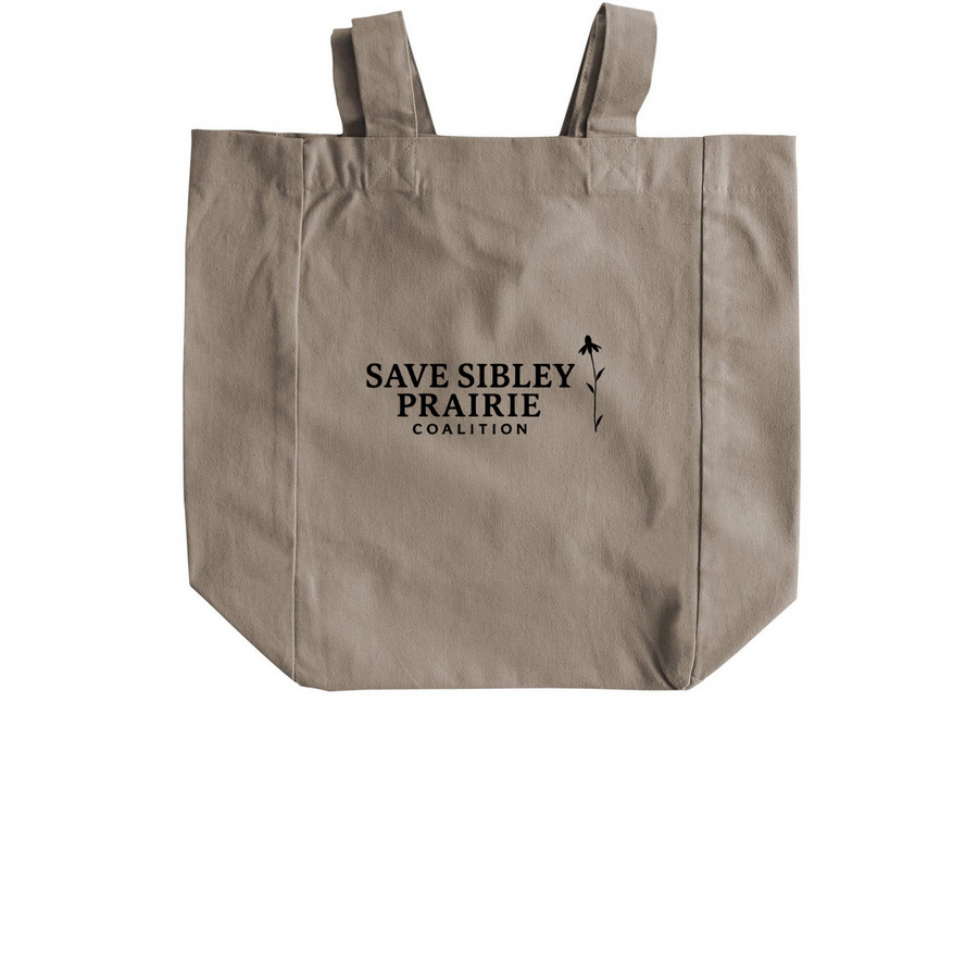 Dragonfly tote, a Pumice Recycled Cotton Tote Bag (back-view)