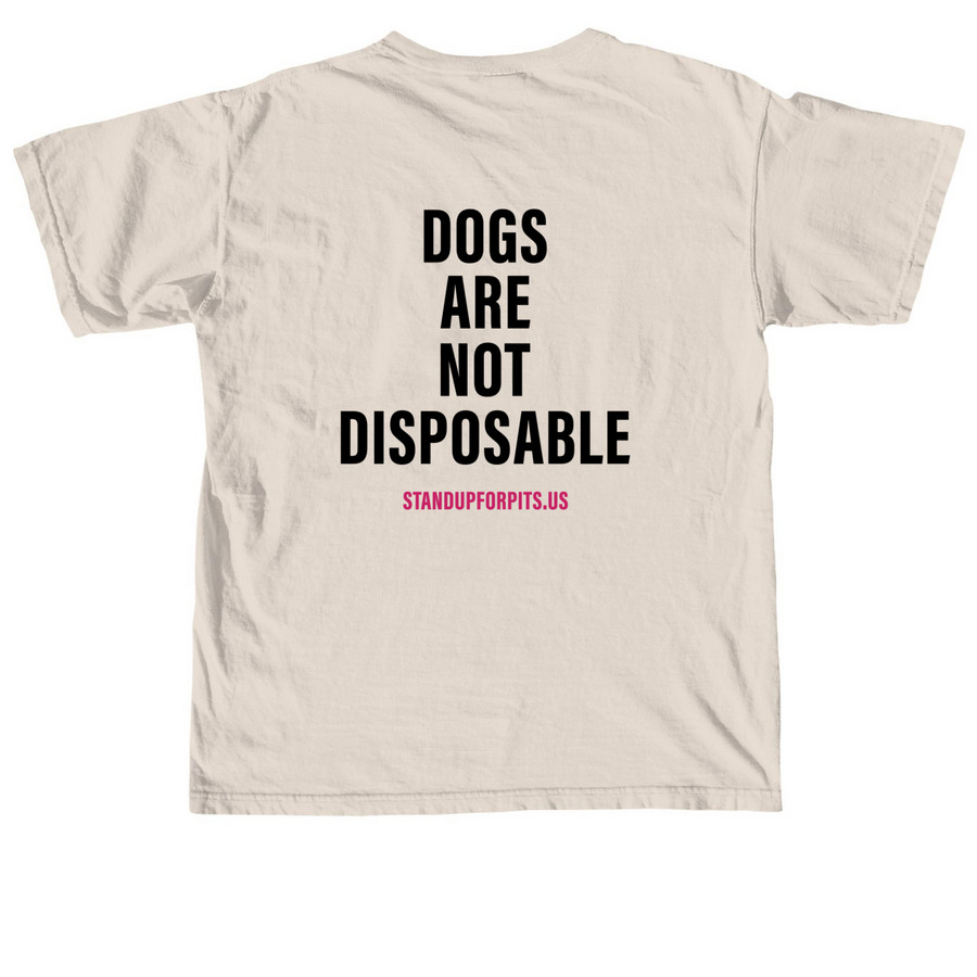 END DOGFIGHTING - LUCILLE, a Ivory Comfort Colors Unisex Tee (back-view)