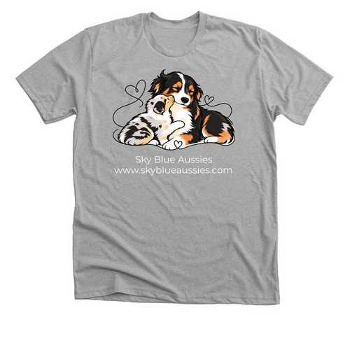 Sky Blue Aussies "JETT", a Athletic Heather Premium Unisex Tee