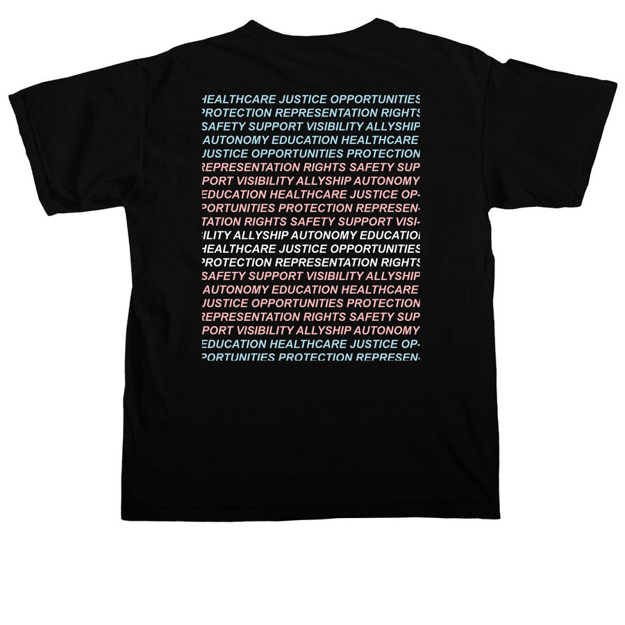 Trans Folks Deserve Better | FLAG TEXT, a Black Comfort Colors Unisex Tee (back-view)