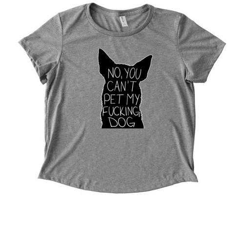No, you can't pet my fucking dog, a Aluminum Grey Allmade Eco Triblend Women?s Scoop Neck Tee