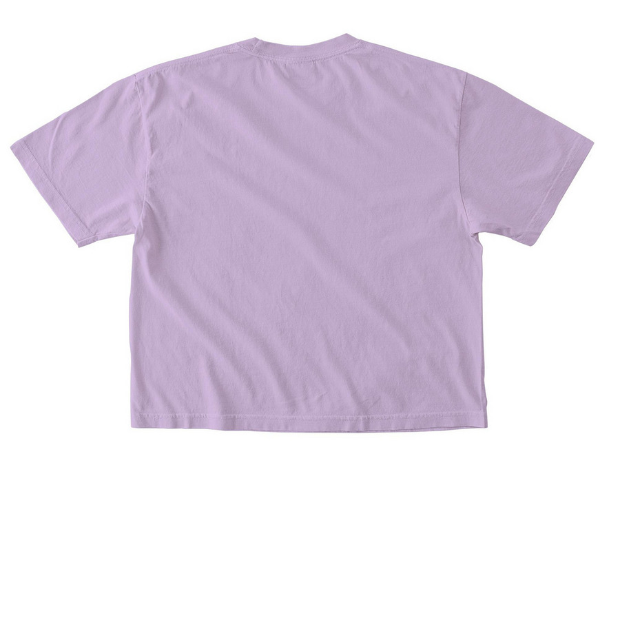 SSTLife - Mush Baby Vibes - Cropped Tops, a Orchid Comfort Colors Boxy Tee (back-view)