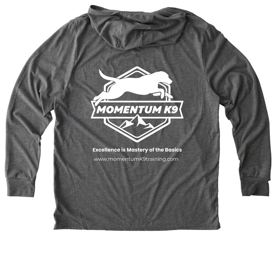Excellence Is Mastery of the Basics, a Aluminum Grey Allmade Eco Triblend Hoodie Tee (back-view)