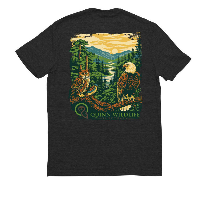 Quinn Wildlife Sanctuary, a Space Black Allmade Eco Triblend Unisex Tee (back-view)
