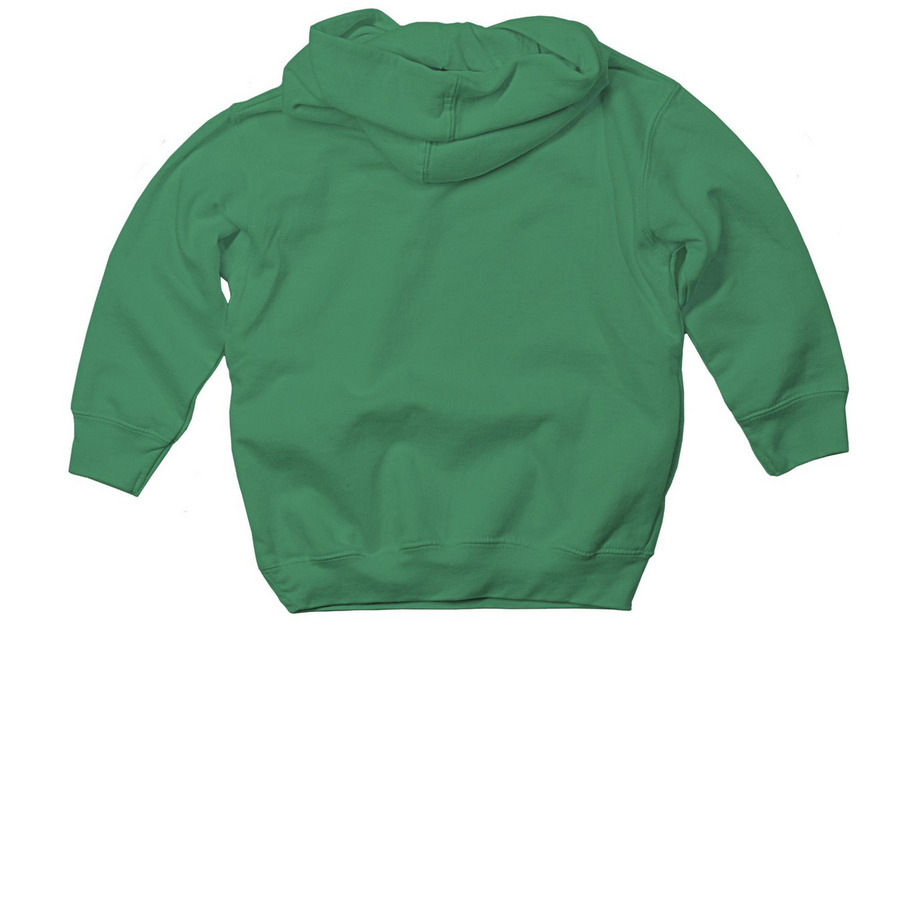Toddler NSY logo tees, a Kelly Toddler Pullover Hoodie (back-view)