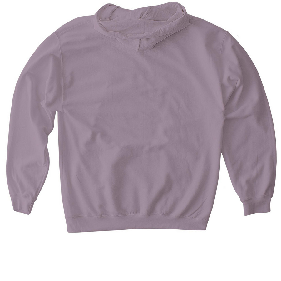 Hoodie, a Paragon Gildan Softstyle Pullover Hoodie (back-view)