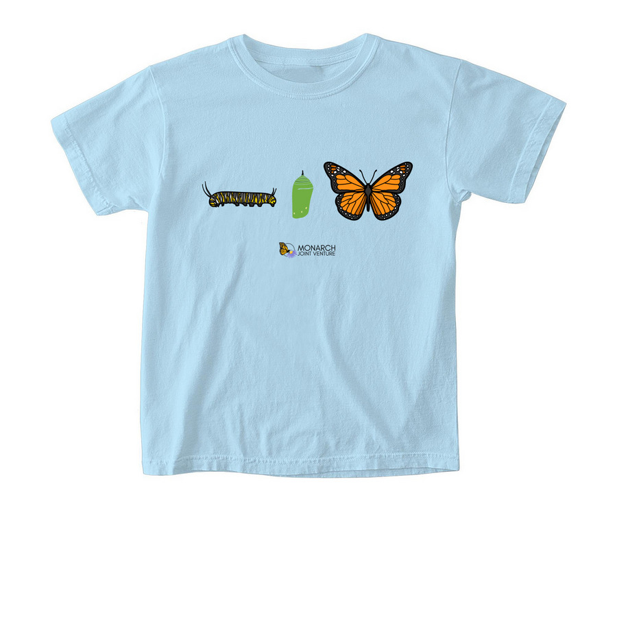 Monarch Butterfly Lifecycle - Youth, a Chambray Comfort Colors Youth Tee