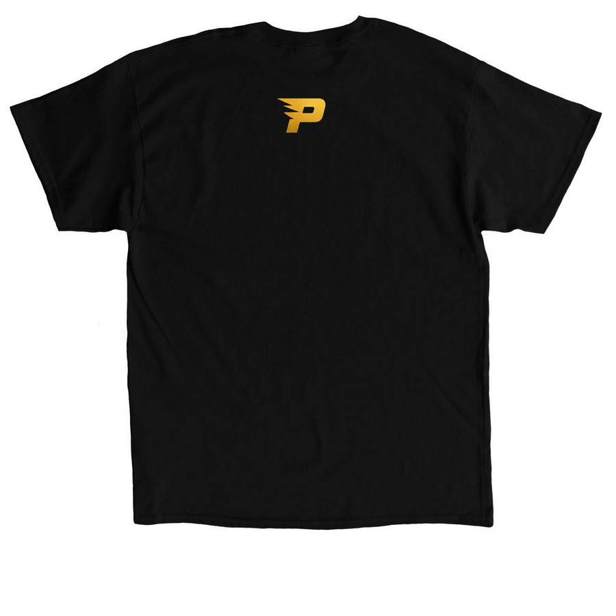 BUILT TO BREAK BARRIERS, a Black Classic Unisex Tee (back-view)