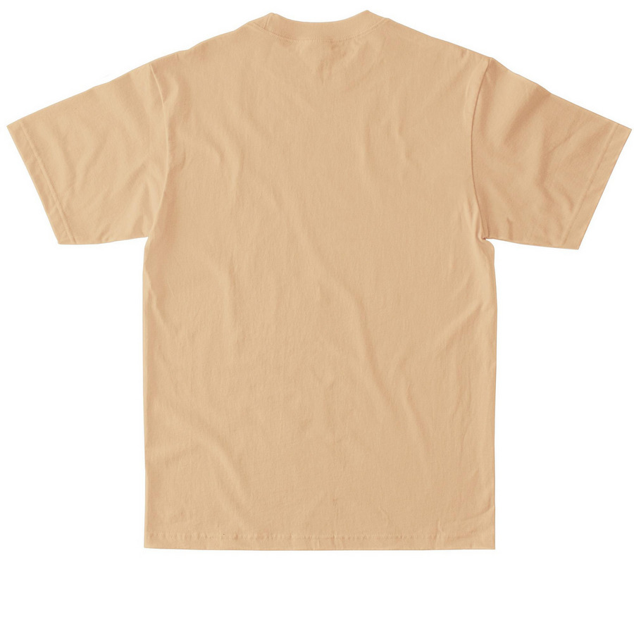 Dairy Shirt, a Khaki Max Heavyweight Tee (back-view)