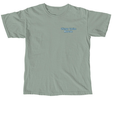 Hold My Beer, Gotta Rescue This Dog, a Bay Comfort Colors Unisex Tee