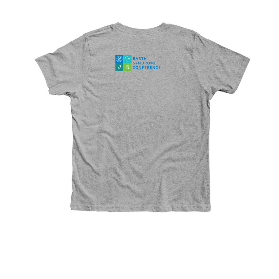 2026 Conference Flamingo&nbsp;, a Athletic Heather Premium Youth Tee (back-view)