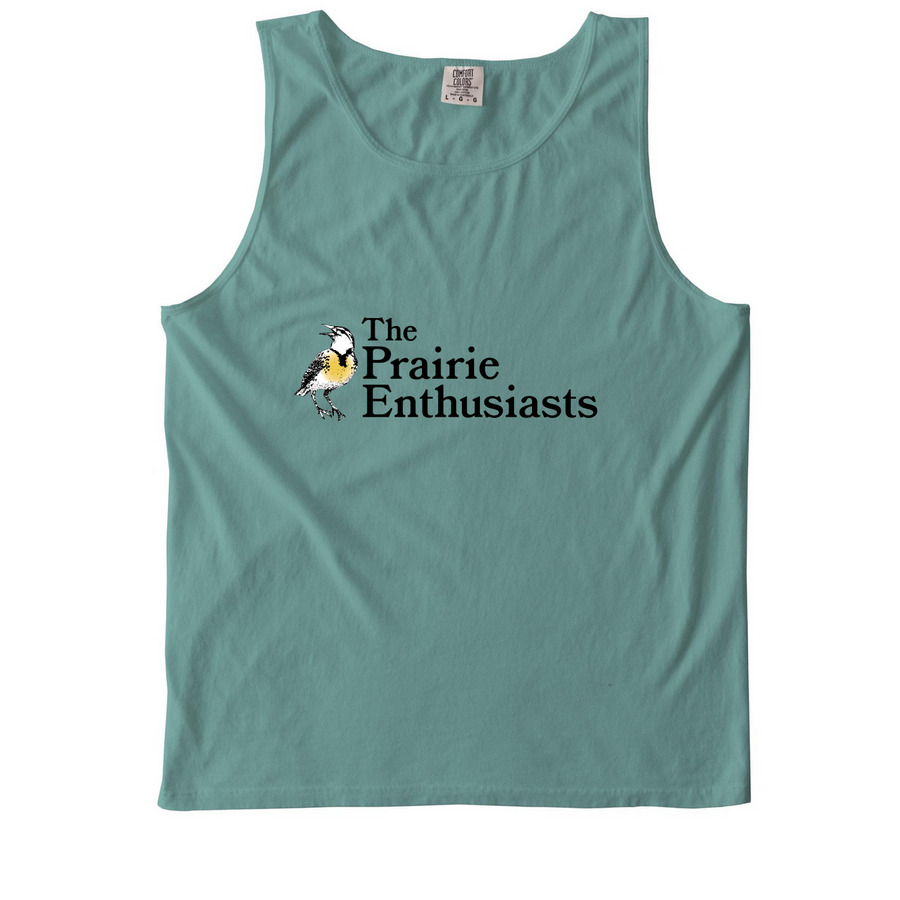 Tank Top, a Seafoam Comfort Colors Tank Top