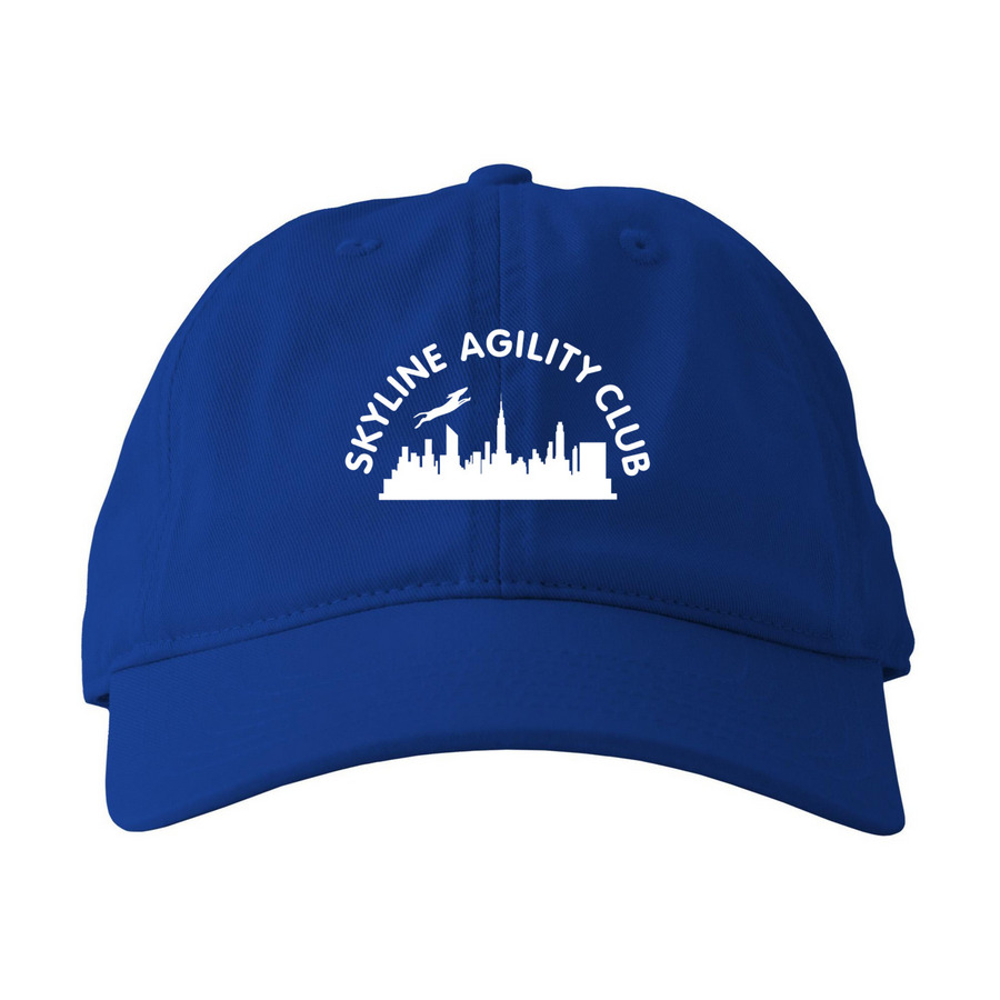 Skyline Hats, a Royal Printed Eco Baseball Cap