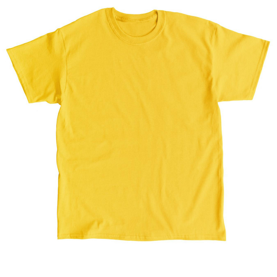 I Support LGBTQ T Shirt, a Daisy Classic Unisex Tee