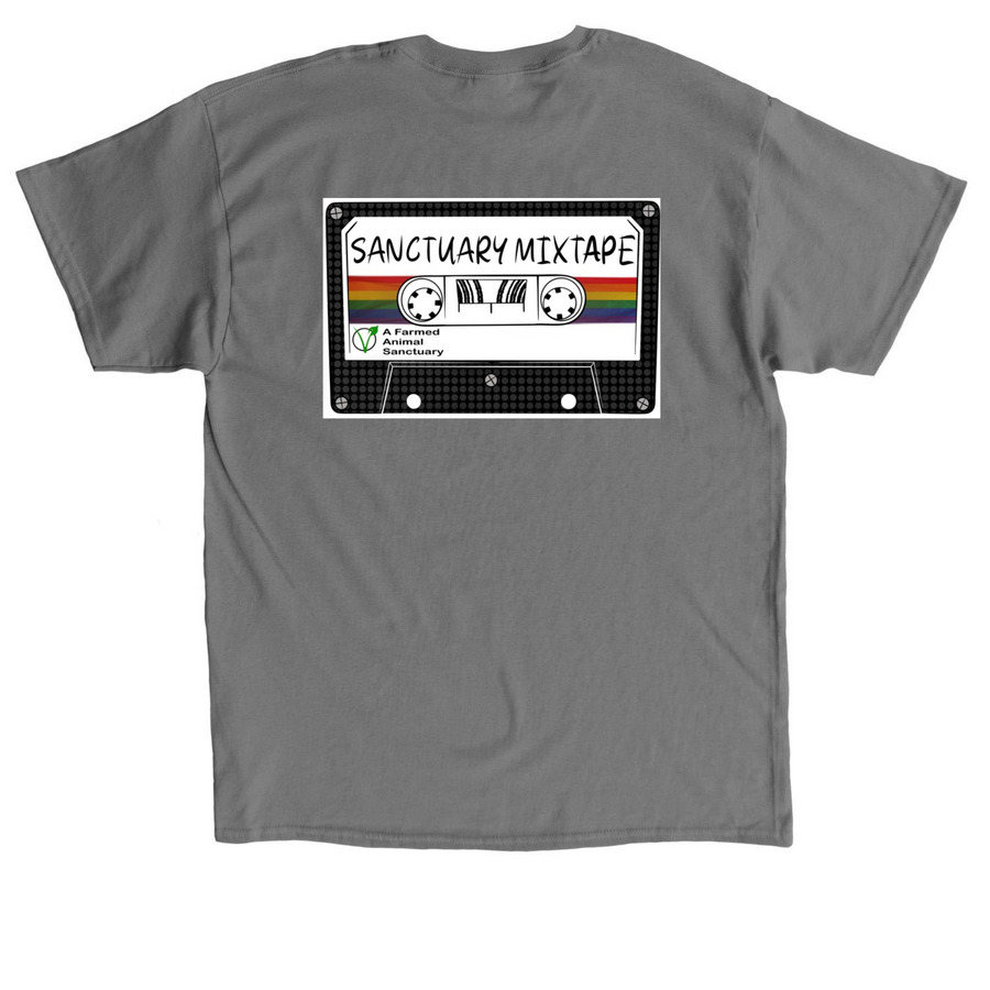 Origin Story, a Charcoal Classic Unisex Tee (back-view)