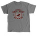 DSUniversity, a Charcoal Classic Unisex Tee