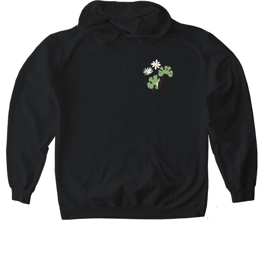 Excellent Ephemerals, a Black Gildan Softstyle Pullover Hoodie