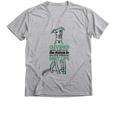 Living Their Best Life, a Athletic Heather Premium V-Neck Tee