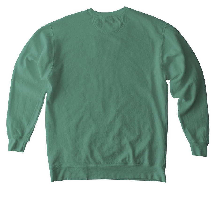 Friends SNF White Logo Tee, a Light Green Comfort Colors Crewneck Sweatshirt (back-view)