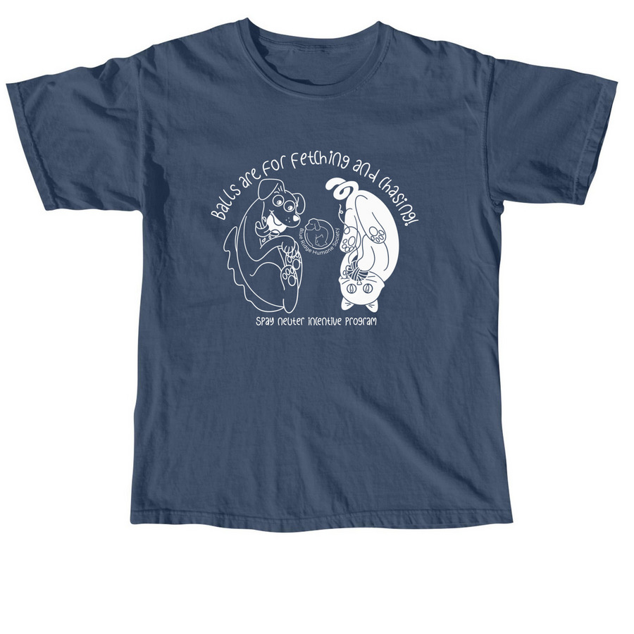Balls Are for Fetching and Chasing (Dark), a Midnight Comfort Colors Unisex Tee