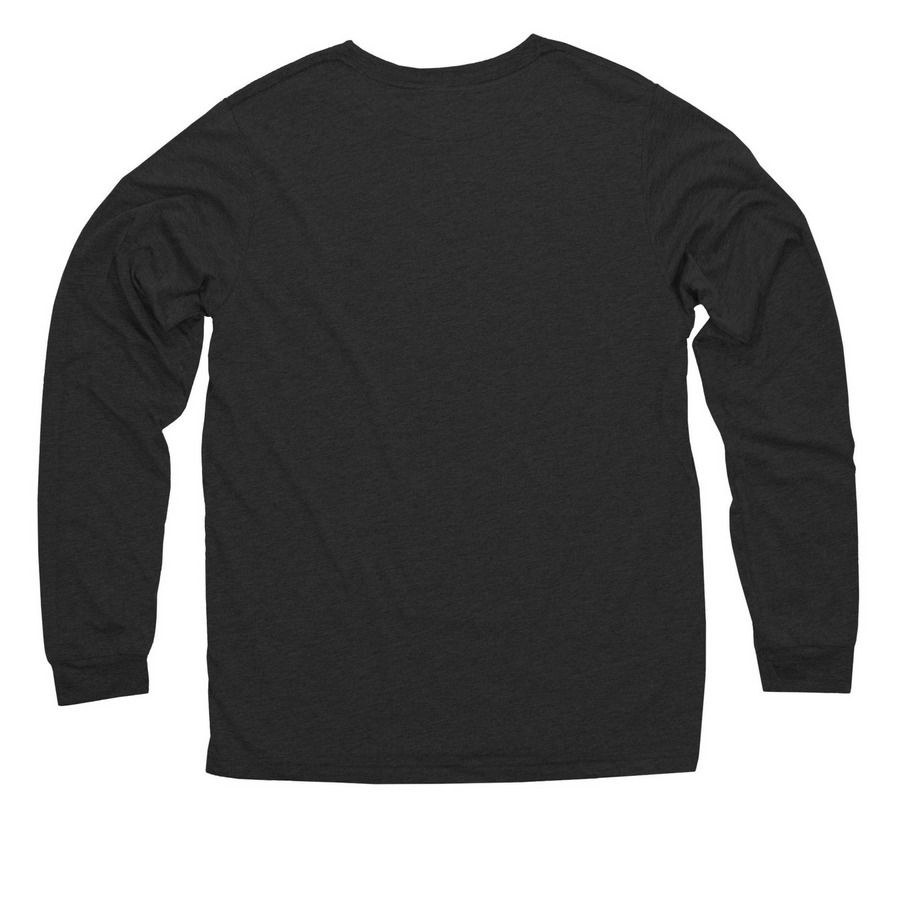 Nighttime Geneva, a Vintage Black Triblend Long Sleeve Tee (back-view)