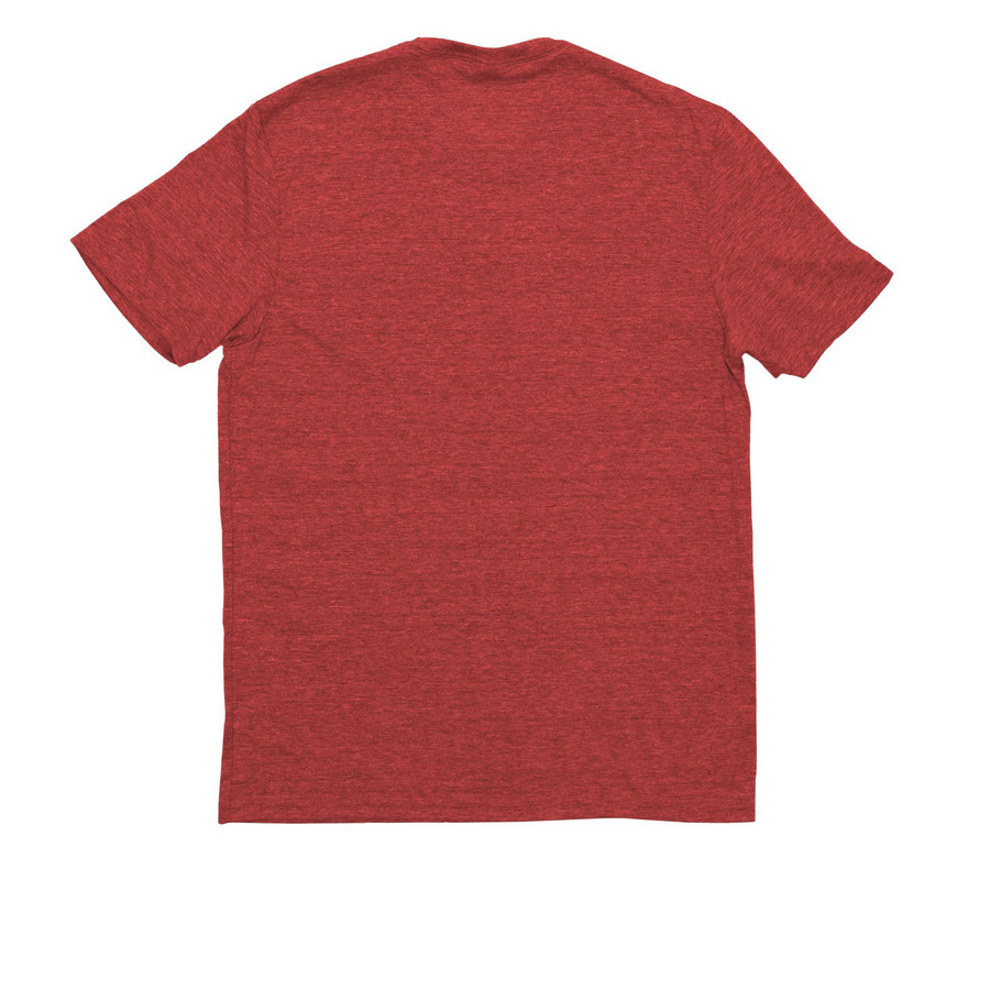 Zora & The Berries, a Rise Up Red Allmade Eco Triblend Unisex Tee (back-view)