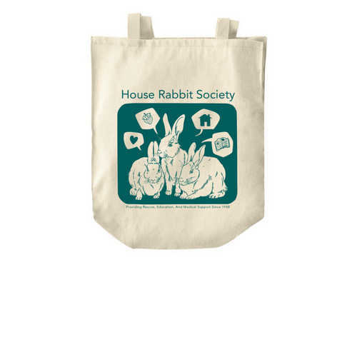 HRS Sanderson Sisters Tote, a Natural Over-the-Shoulder Shopping Tote Bag