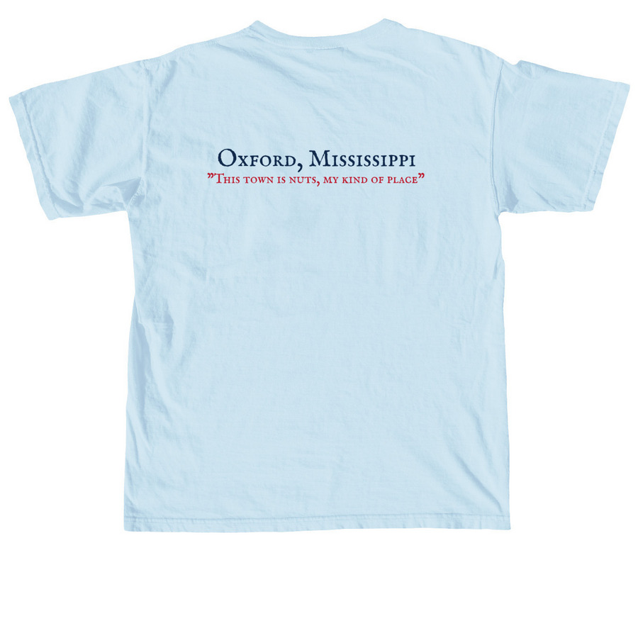 Oxford Mikey Tee&nbsp;, a Chambray Comfort Colors Unisex Tee (back-view)