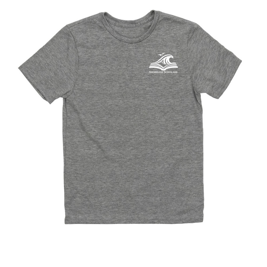 Curiosity Crew Collection&nbsp;, a Aluminum Grey Allmade Youth Eco Triblend Tee