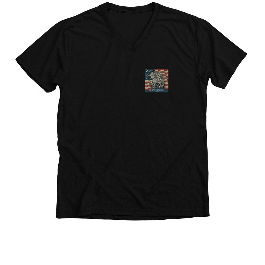 American Flair & Mini Fun, a Solid Black Blend Premium V-Neck Tee