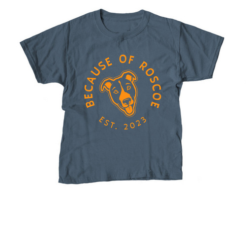 Youth Swag, a Indigo Youth Unisex Tee