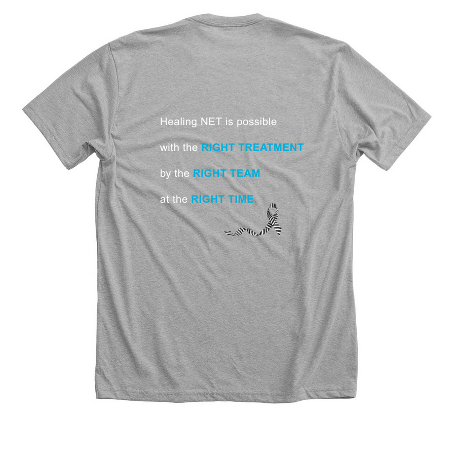 Healing NET Classic T-Shirt, a Athletic Heather Premium Unisex Tee (back-view)