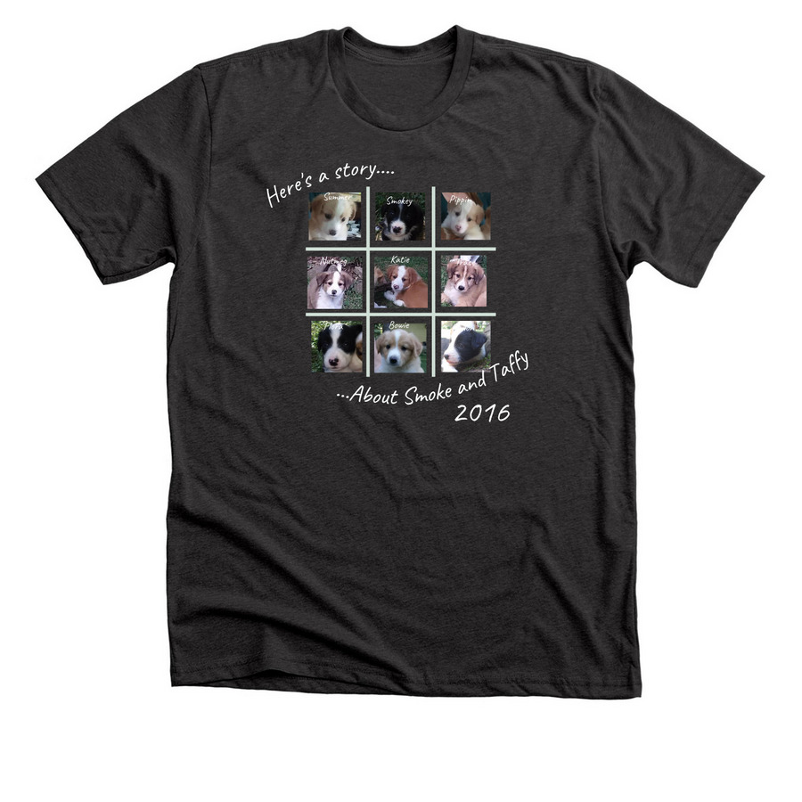 Ten Year Birthday Evening Song ES 2016, a Dark Grey Heather Premium Unisex Tee