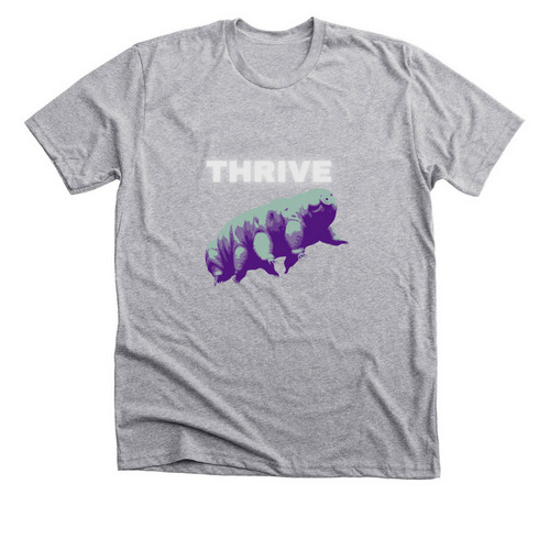Water Bear Facts, a Athletic Heather Premium Unisex Tee