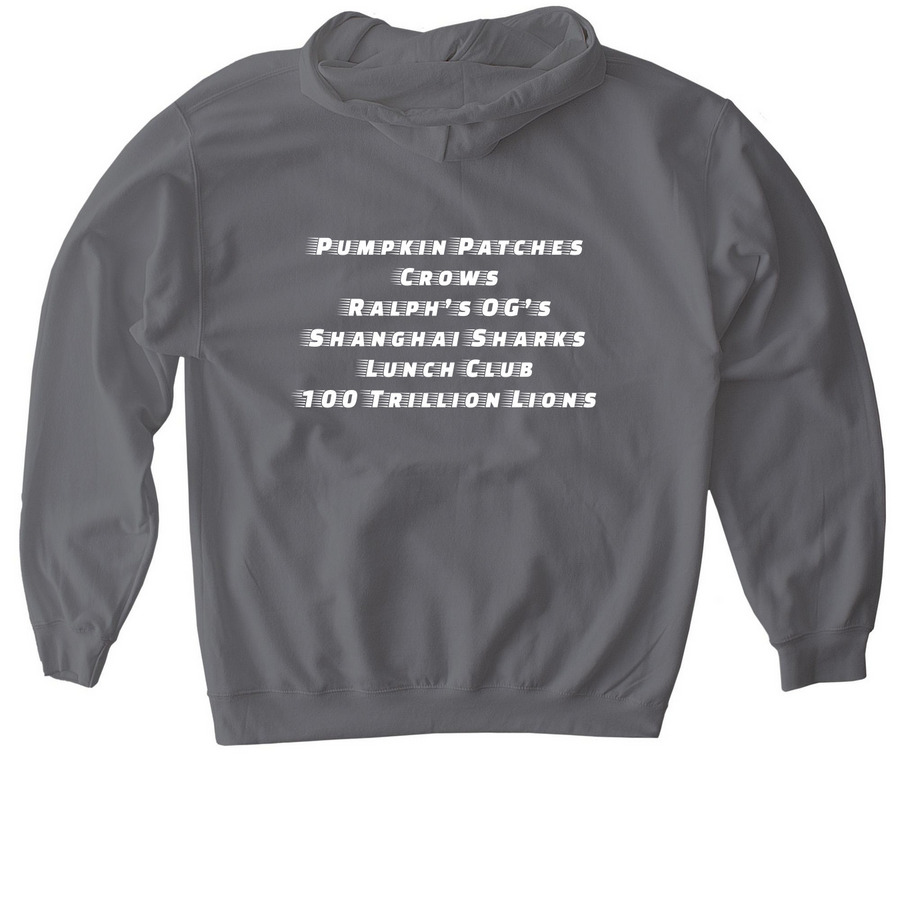BIRD NATION HOODIE, a Charcoal Gildan Softstyle Pullover Hoodie (back-view)