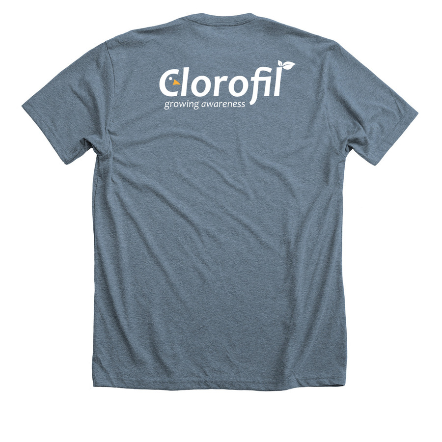 Fleur's t-shirt, a Heather Slate Premium Unisex Tee (back-view)