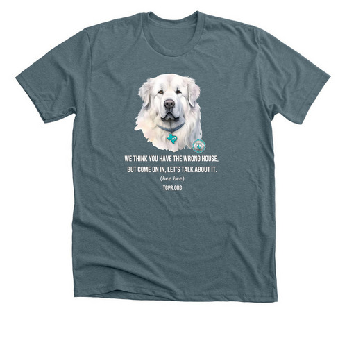 TGPR 25th Anniversary Ts #7 Come On In&nbsp;, a Heather Slate Premium Unisex Tee