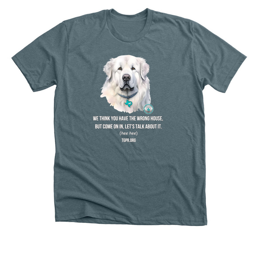 TGPR 25th Anniversary Ts #7 Come On In&nbsp;, a Heather Slate Premium Unisex Tee
