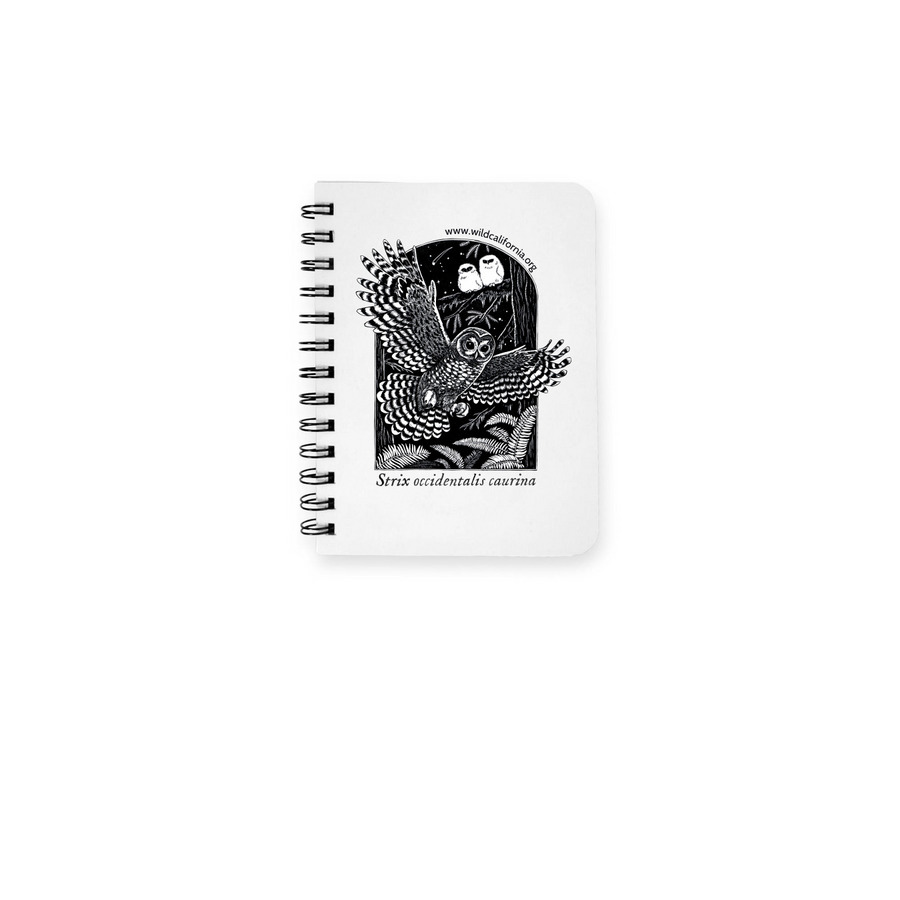 Northern Spotted Owl, a White Spiral Notebook