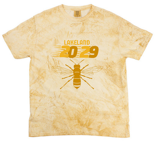 Retro Hornet, a Citrine Comfort Colors Colorblast Tee