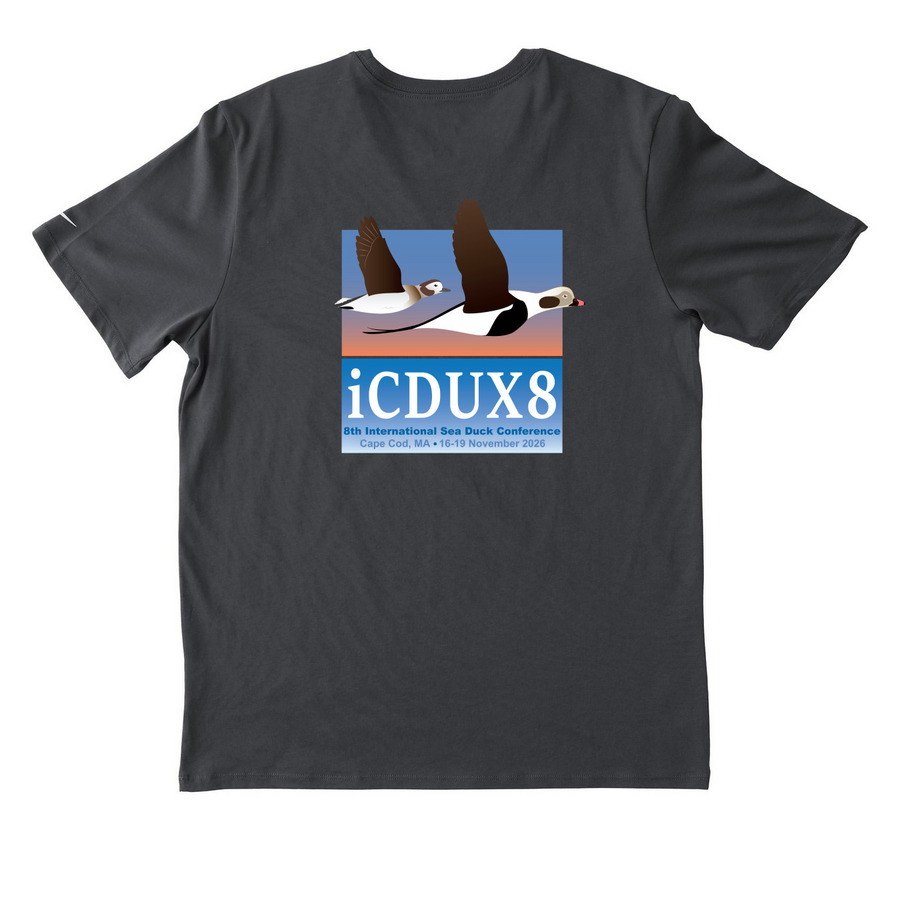 iCDUX8: Active & Performance Wear, a Anthracite Nike Dri-FIT Jersey Blend Performance Tee (back-view)