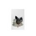 Vernon the tiniest pig, a White Tea Towel