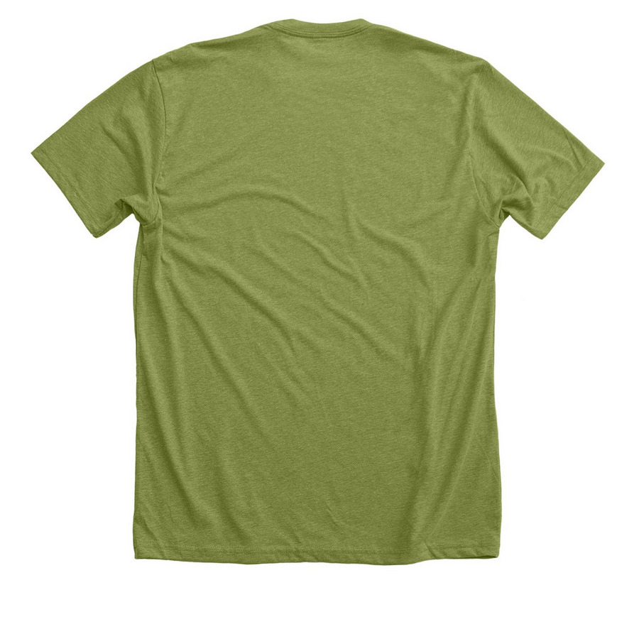 NSE Roadtrip t-shirt, a Heather Green Premium Unisex Tee (back-view)