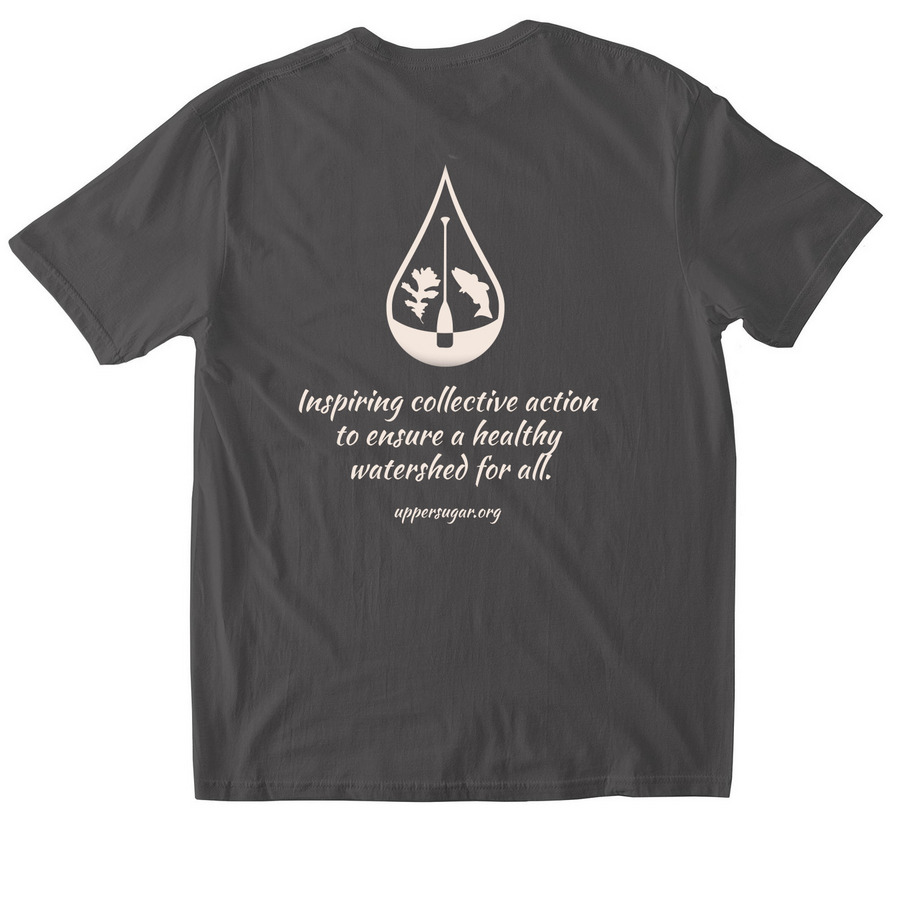 Childhood Ripples, a Charcoal Softstyle Cotton Tee (back-view)