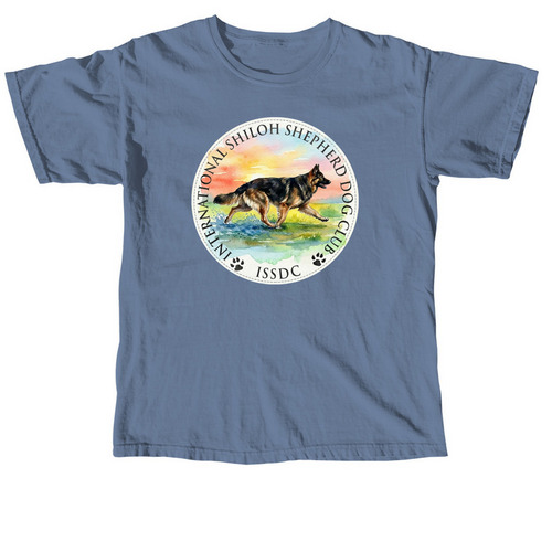 INTO THE SUN, a Blue Jean Comfort Colors Unisex Tee