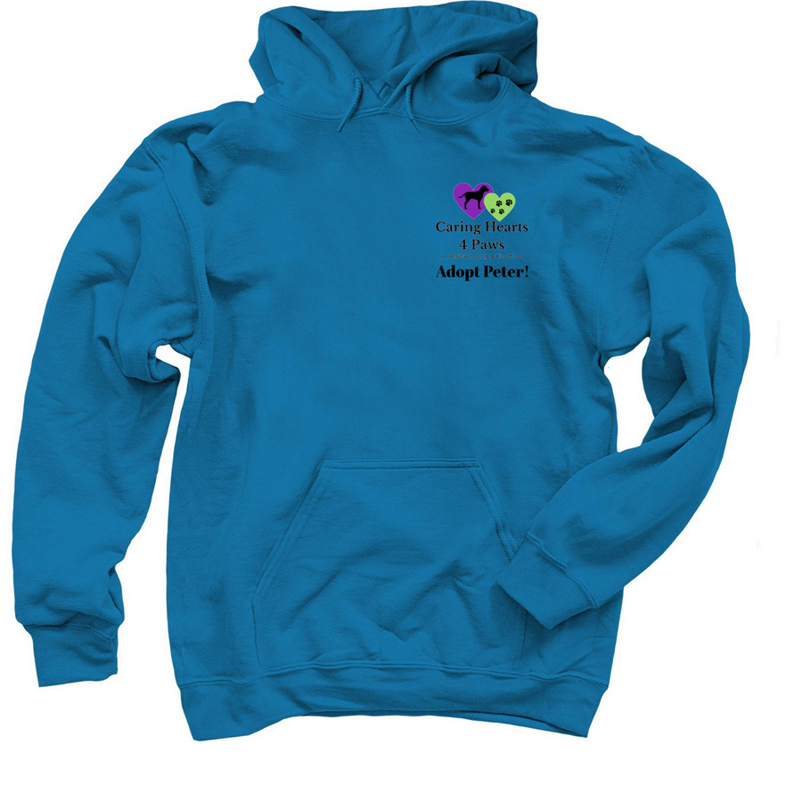 Peter, a Sapphire Pullover Hoodie