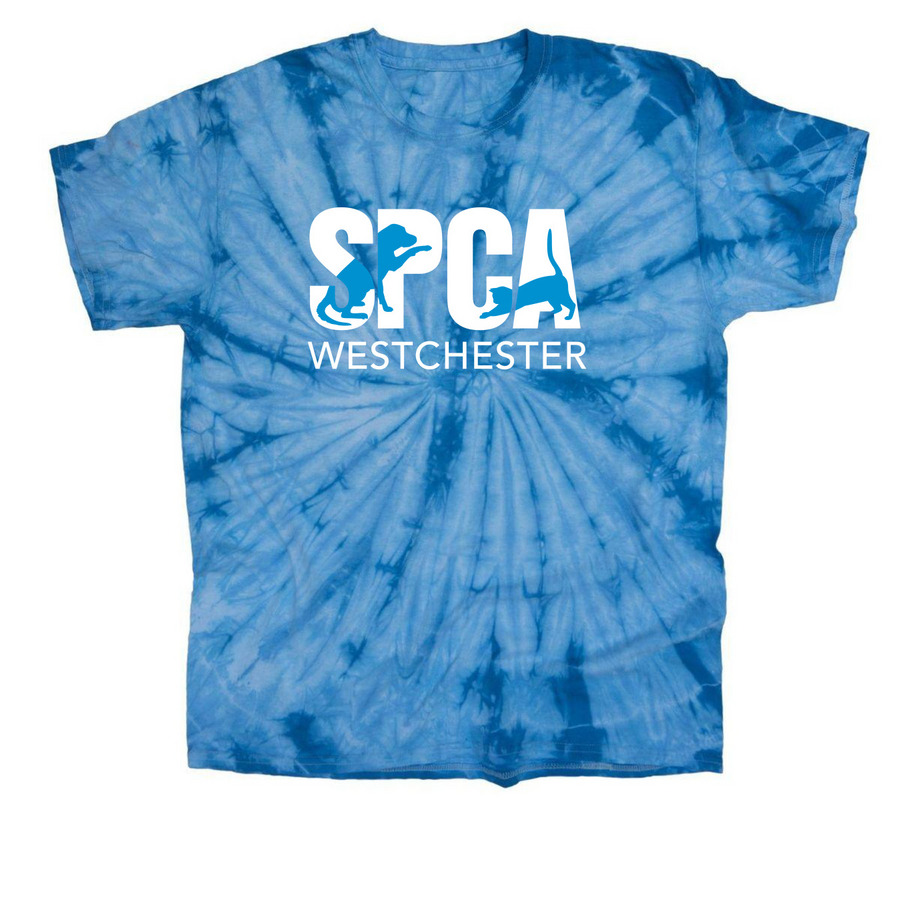 Tie Dye Logo Tee, a Baby Blue Classic Tie Dye Tee