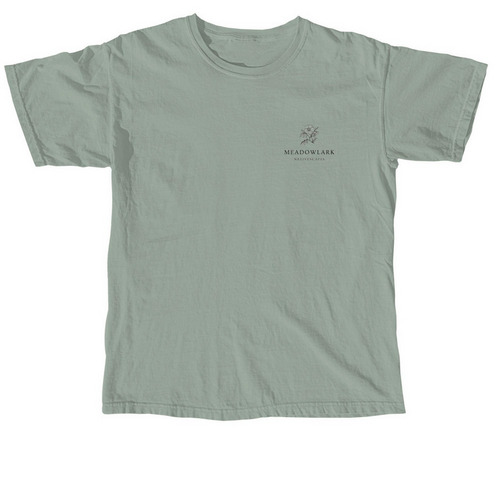 The Shirt, a Bay Comfort Colors Unisex Tee